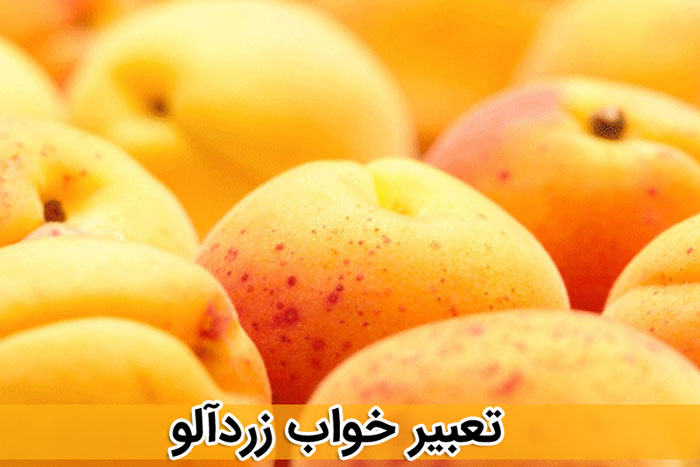 تعبیر خواب درخت میوه زرد الو تعبیرخوردن زردآلو در خواب