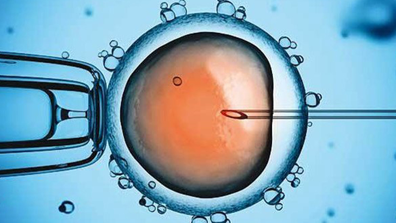 دلایل استفاده از روش انتقال جنین به رحم