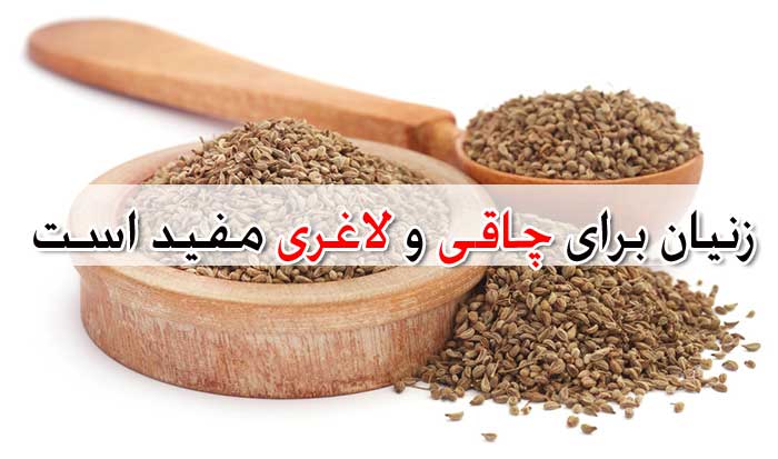 عرق زنیان - خواص + عوارض و تداخل دارویی زنیان