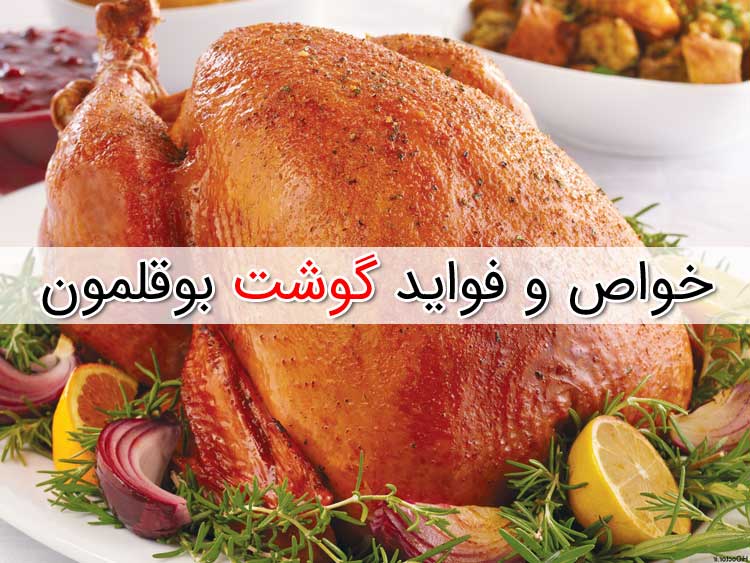 خواص گوشت بوقلمون - لیست فواید خوردن گوشت بوقلمون