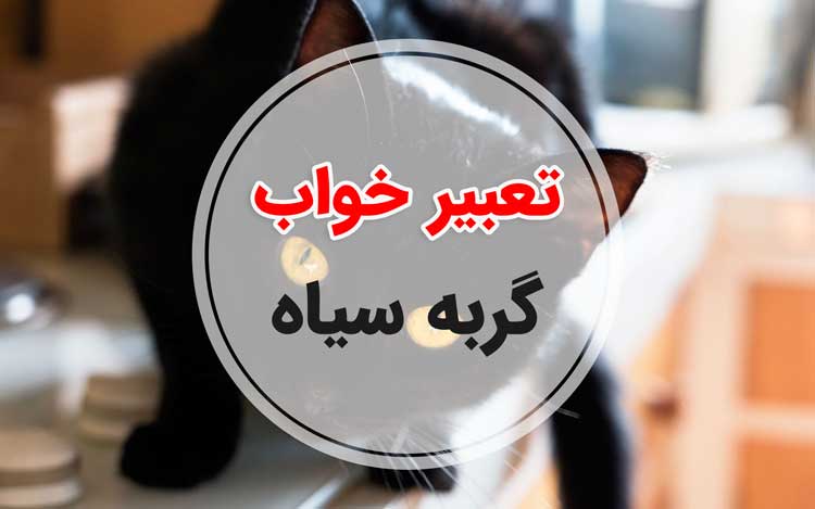 تعبیر خواب گربه سیاه - لیست 94 معنی جدید دیدن گربه سیاه در خواب