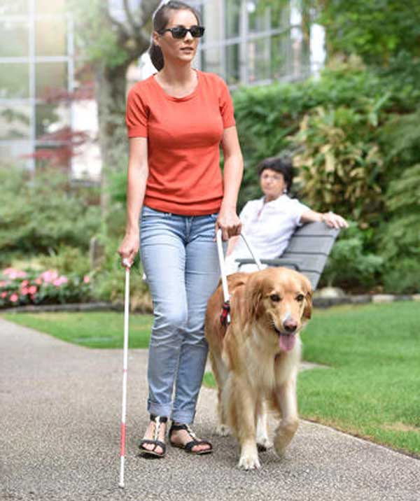 تعبیر خواب کور شدن - لیستِ 53 معنیِ کاملِ دیدن نابینا شدن در خواب