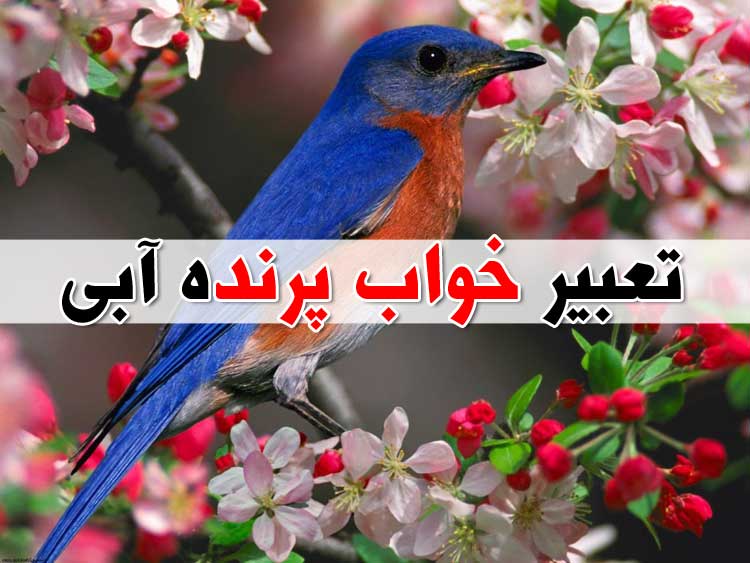 تعبیر خواب رنگ آبی - 48 معنی مختلف و متفاوت