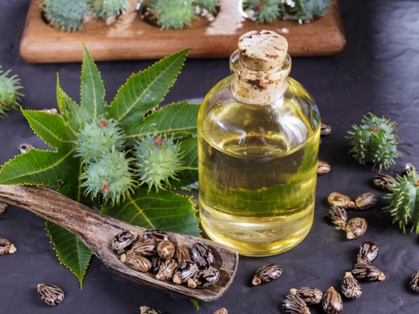 روغن کرچک برای درمان قارچ های پوستی یا درماتوفیتوز