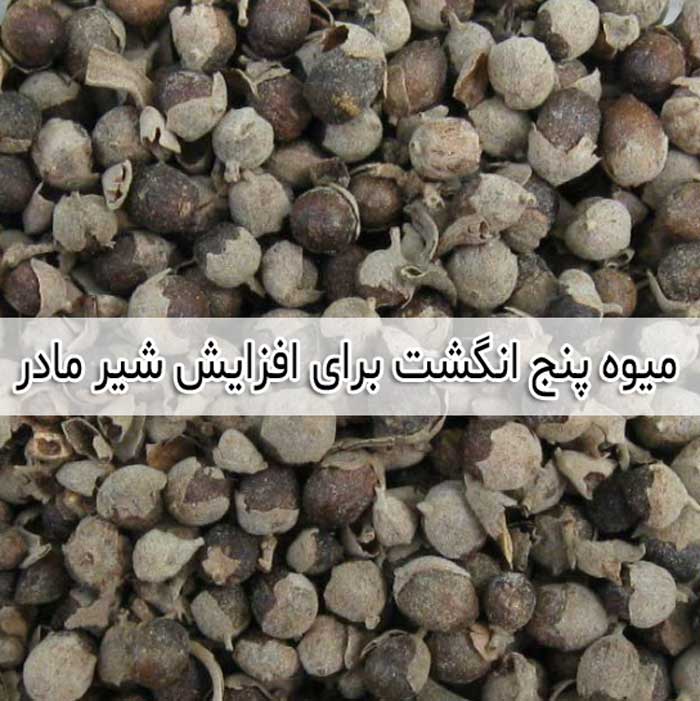 از میوه گیاه پنج انگشت برای افزایش شیر مادر استفاده می شود