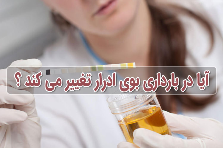 آیا در دوران بارداری ...؟ پاسخ به رایج ترین سوالات دوران حاملگی