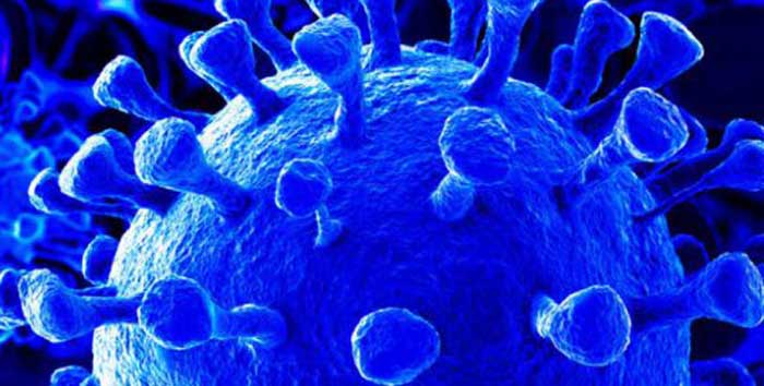 همه چیز در مورد کرونا ویروس یا Coronaviruses (covid-19)