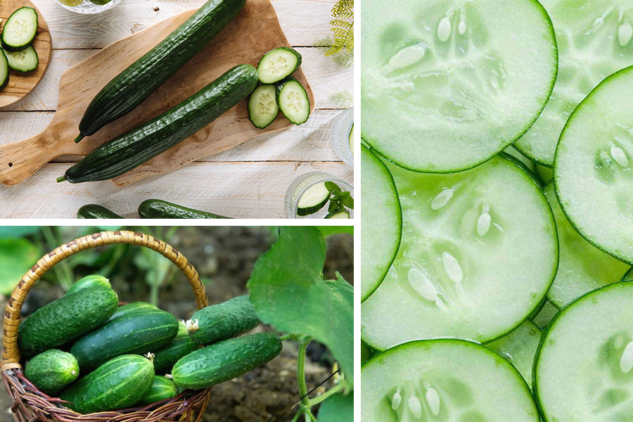 تعبیر خواب خیار - لیست 21 معنی «دیدن خیار در خواب»