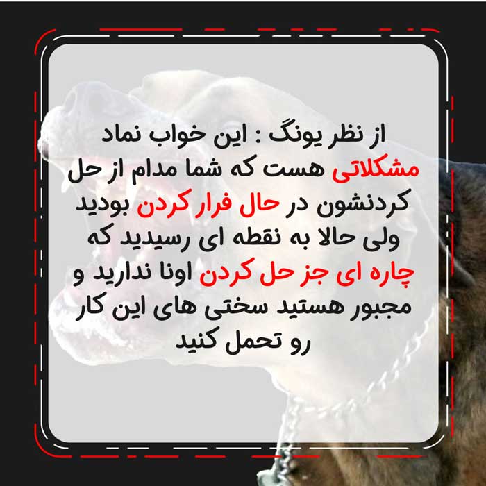 تعبیر خواب سگ - لیست 147 معنی جدید دیدن سگ در خواب