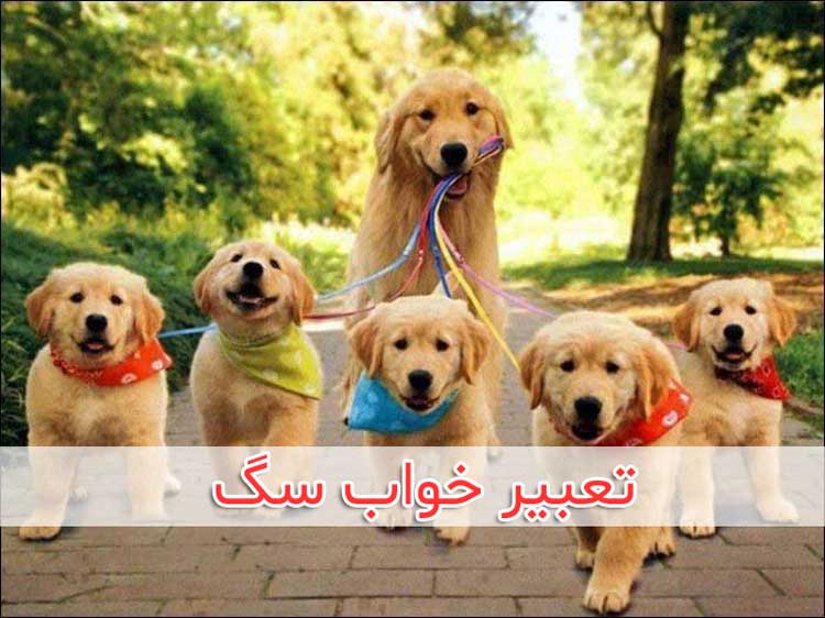 تعبیر خواب سگ دیدن خواب یک سگ قدرتمند و قوی