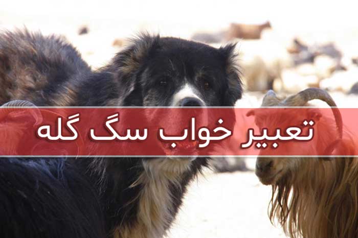 تعبیر خواب سگ نگهبان 