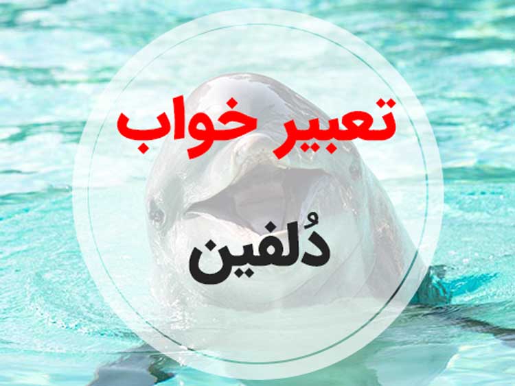 تعبیر خواب دلفین - لیست 135 معنی جدید دلفین در خواب