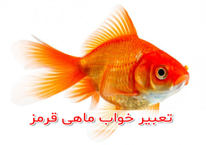 تعبیر خواب ماهی قرمز زنده