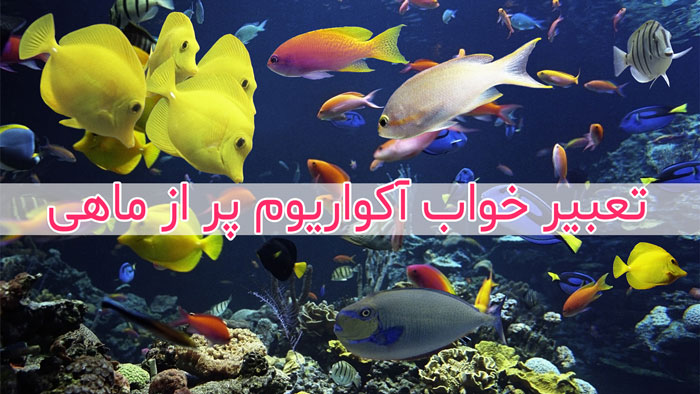 تعبیر خواب ماهی - بیش از 49 معنی مختلف برای خواب ماهی