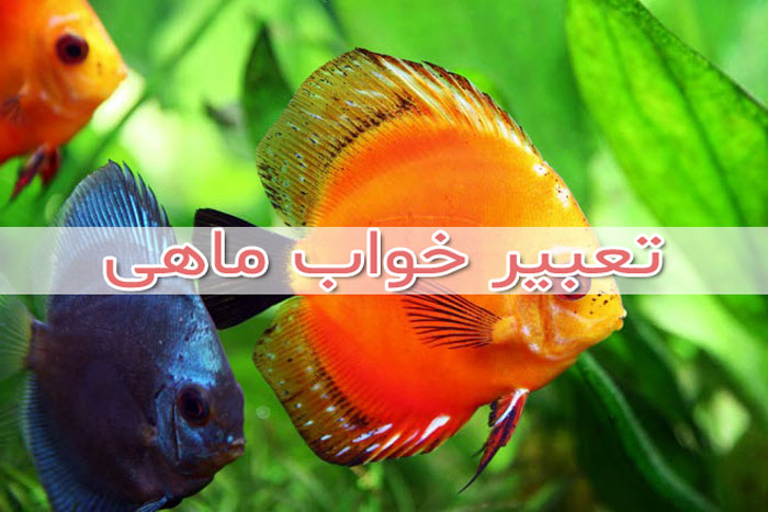 تعبیر خواب ماهی بیرون از آب