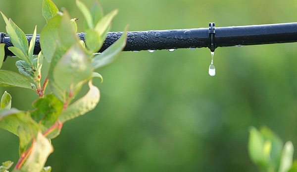 راهنمای خرید قطره چکان برای انواع آبیاری