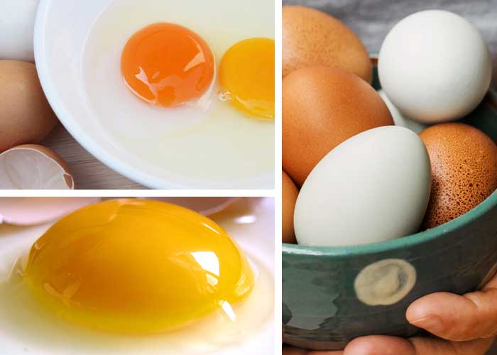 چطور تخم مرغ تازه را از تخم مرغ کهنه تشخیص دهیم؟