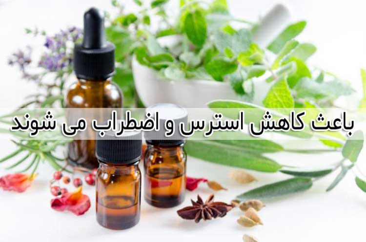 فواید روغن ها و اسانس های گیاهی توانایی کاهش استرس و اضطراب