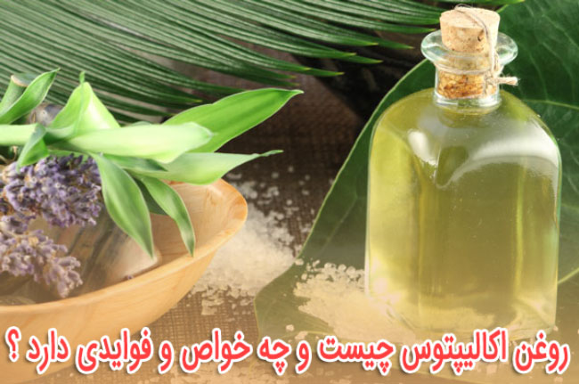 روغن اکالیپتوس چیست ؟