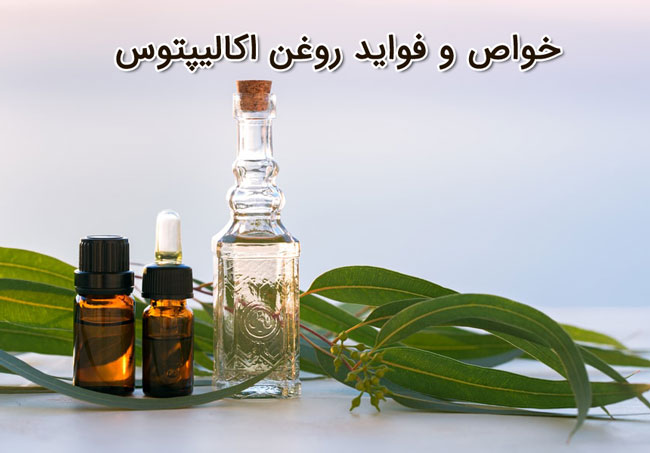 خواص و فواید روغن اکالیپتوس