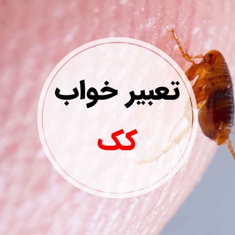 تعبیر خواب کک - لیست 108 معنی جدید دیدن کک در خواب