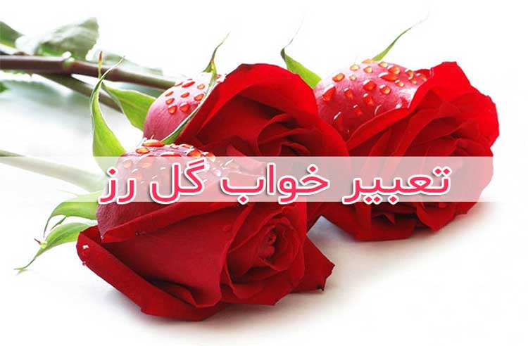اگر در خواب گل رز قرمز ببینید به معنی وجود عشق 