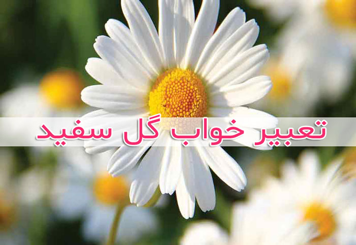تعبیر خواب گل سفید