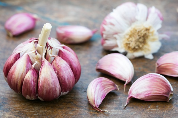 سیر برای درمان تب خال