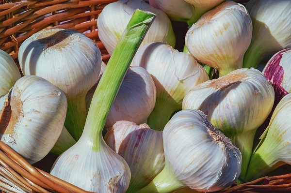 تاثیر سیر برای از بین بردن گوشت اضافه