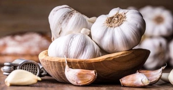 تاثیر سیر برای درمان جای نیش پشه