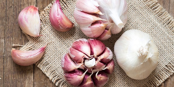 سیر برای درمان درماتیت سبوره