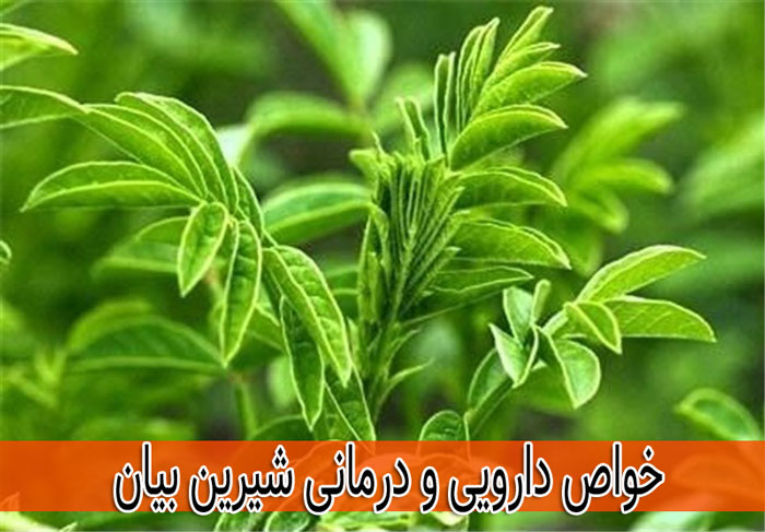 خواص شیرین بیان عکس شیرین بیان