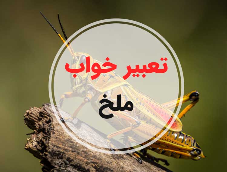 تعبیر خواب ملخ - لیست 94 معنی جدید دیدن ملخ در خواب