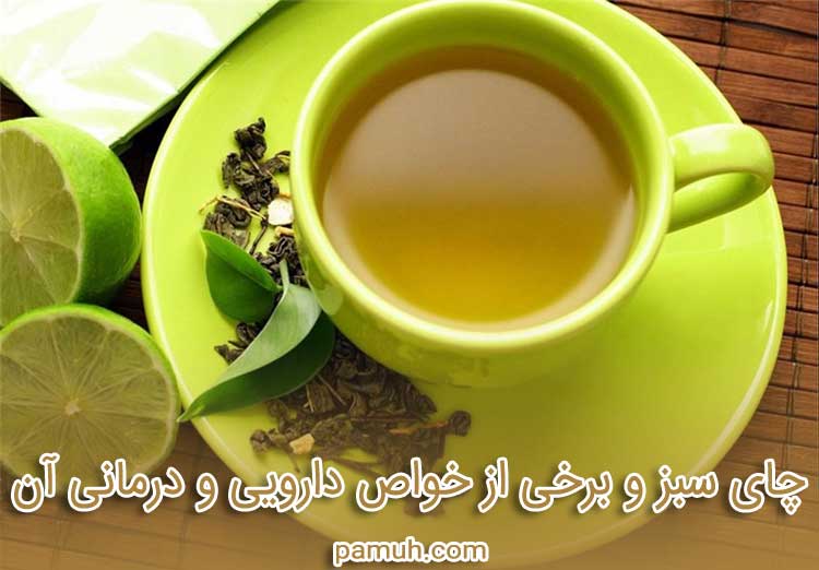 چای سبز و برخی از خواص دارویی و درمانی آن