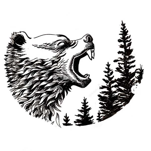 نقاشی خرس جنگل برای رنگآمیزی کودکان-آموزش نقاشی خرص عصبانی و خشمگین در جنگل