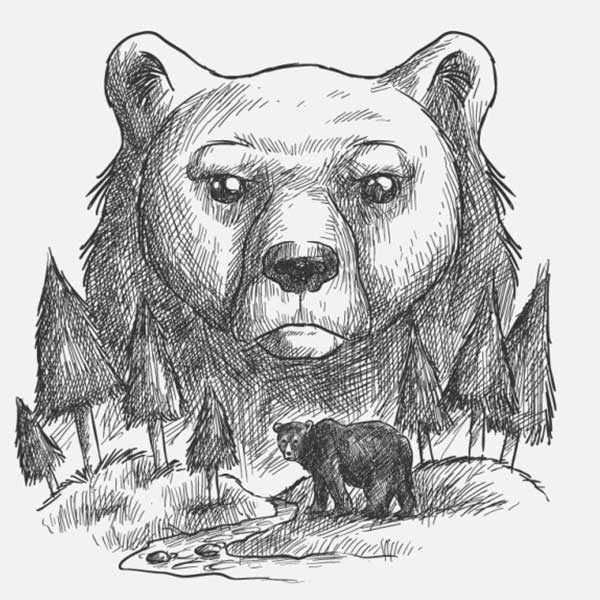 آموزش "نقاشی خرس"-تدی عروسکی-وحشی عصبانی-قلبی-ایستاده-قطبی-کارتونی بامزه