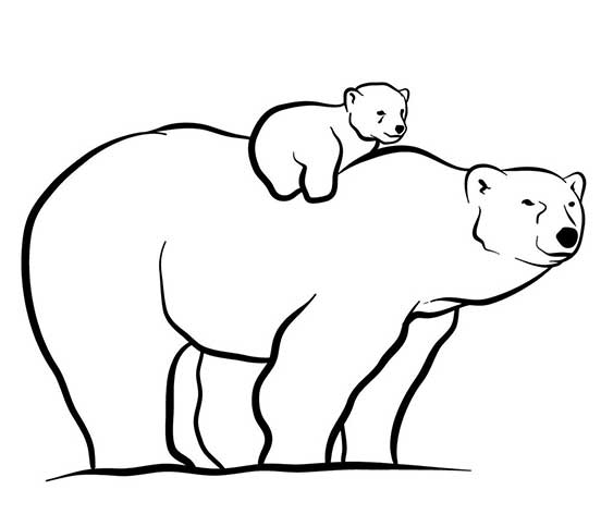 نقاشی خرس ساده-نقاشی خرس در جنگل-نقاشی خرس قهوه ای