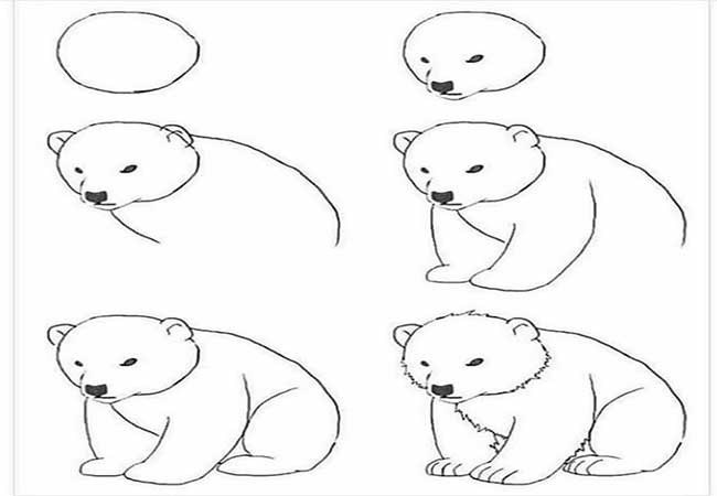 نقاشی خرس کارتونی-آموزش نقاشی کودکانه-نقاشی قدم به قدم خرس به کودکان 10 ساله