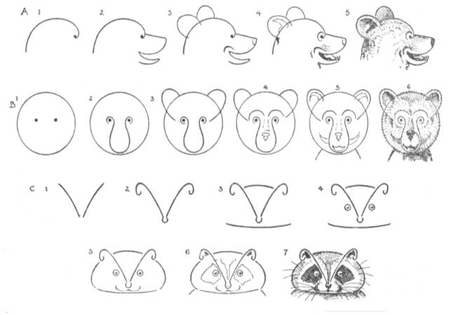 آموزش نقاشی حیوانات ساده-نقاشی حیوانات رنگی-نقاشی خرس-آموزش نقاشی حیوانات بامزه