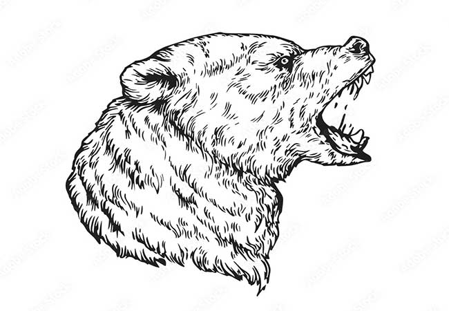 نقاشی خرس برای دفتر مشق-آموزش نقاشی کودکانه خرس-نقاشی کودکانه و کارتونی خرس