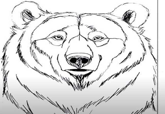 تصاویر برای آموزش نقاشی خرس-آموزش نقاشی به کودکان-نقاشی خرس پاندا