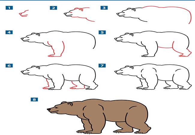 آموزش نقاشی خرس به کودکان به صورت تصویری و مرحله به مرحله و راحت و سریع-نقاشی کردن زيبای خرس