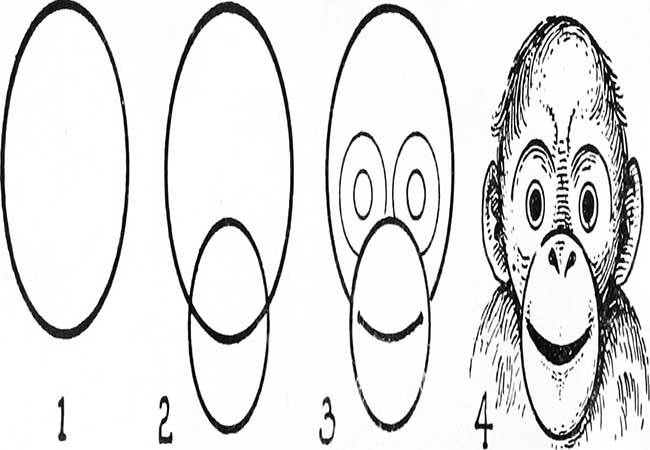 نقاشی میمون برای بچه های کلاس چهارم-نقاشی میمون برای کودکان زیر 10 سال