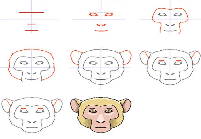 آموزش تصویری و گام به گام نقاشی گوریل بزرگ-آموزش مرحله به مرحله نقاشی گوریل وحشی-آموزش کشیدن نقاشی گوریل ساده