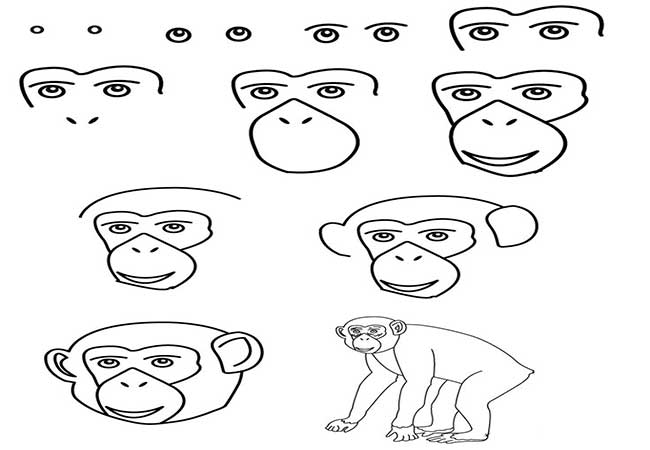  آموزش ساده نقاشی گوریل انگوری-آموزش نقاشی گوریل سخت-آموزش نقاشی گوریل بچگانه-نقاشی شامپانزه کودکانه