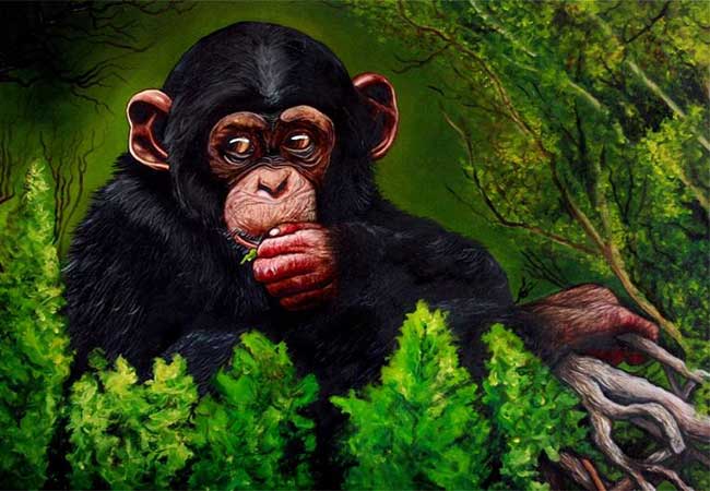 آموزش "نقاشی میمون" به کودکان-تصویری و مرحله به مرحله+ایده نقاشی و رنگ آمیزی