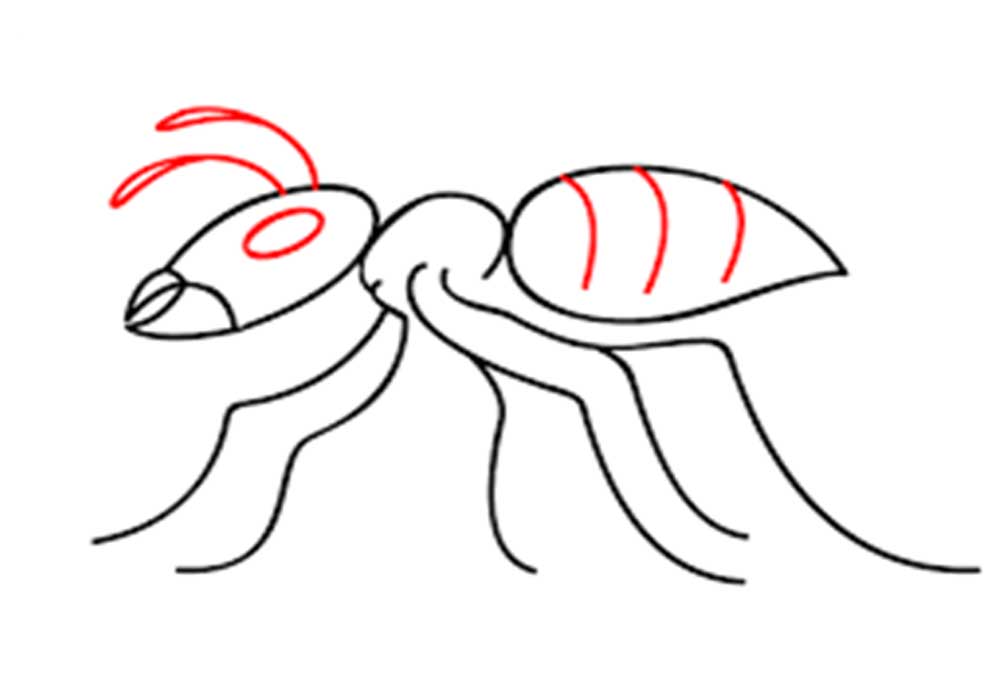 اموزش قدم به قدم نقاشی مورچه به کودکان ۱۳ ساله-آموزش نقاشی کودکانه مورچه-آموزش راحت و ساده نقاشی مورچه-آموزش نقاشی کودکان و نوجوانان