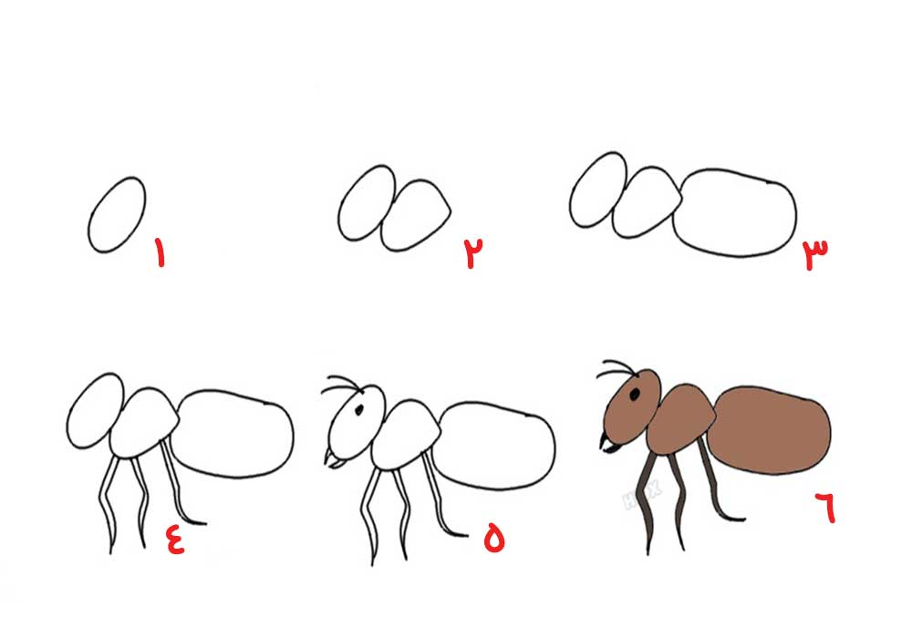 آموزش "نقاشی مورچه برای کودکان"-تصویری و مرحله به مرحله-راحت و سریع