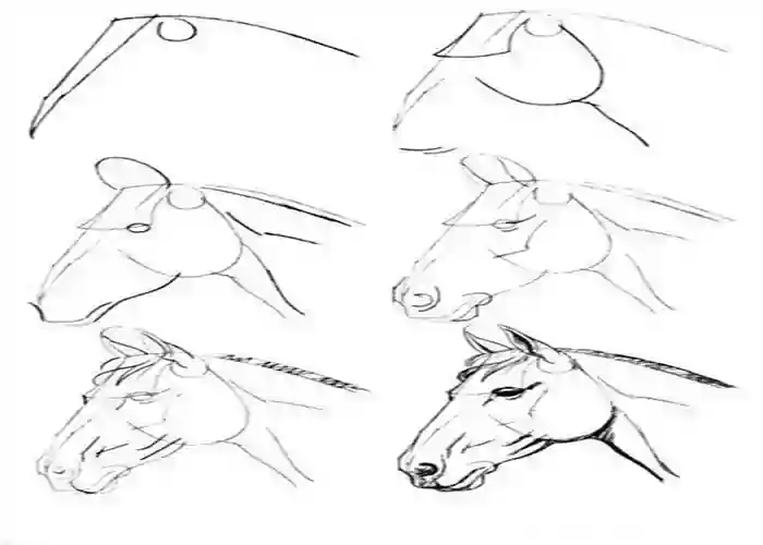 آموزش راحت و ساده نقاشی اسب-آموزش نقاشی اسب به کودکان 9 ساله-آموزش گام به گام نقاشی اسب برای پیش دبستانی و دبستانی ها