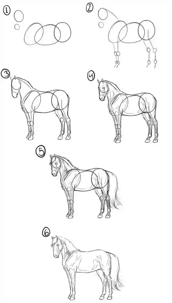 آموزش نقاشی به کودکان-انواع سنین-مرحله به مرحله-چطور یه اسب بکشم-نحوه کشیدن نقاشی اسب با مداد